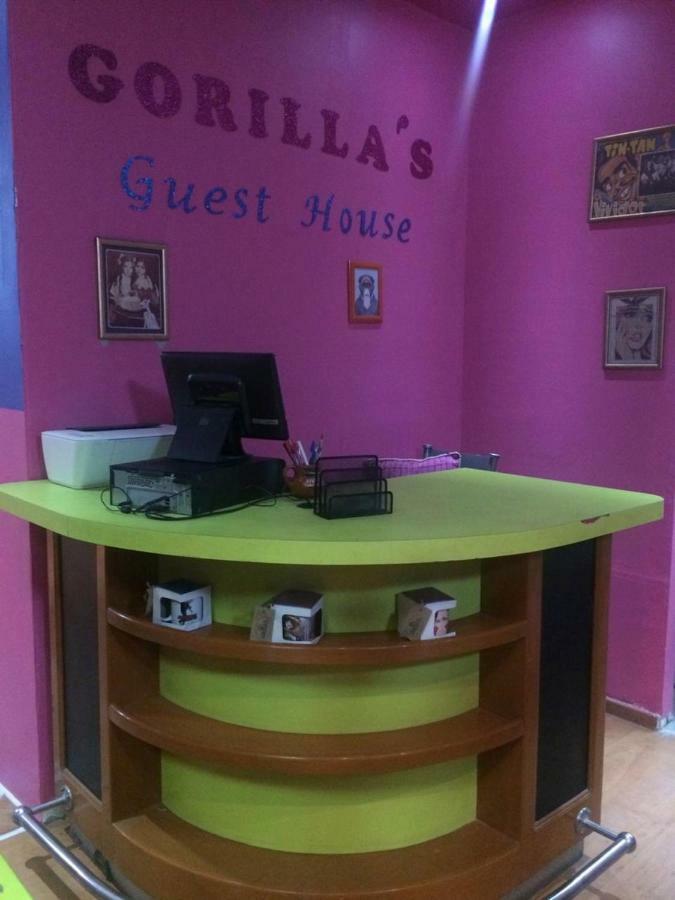 Gorilla´s Guest House Puebla Extérieur photo