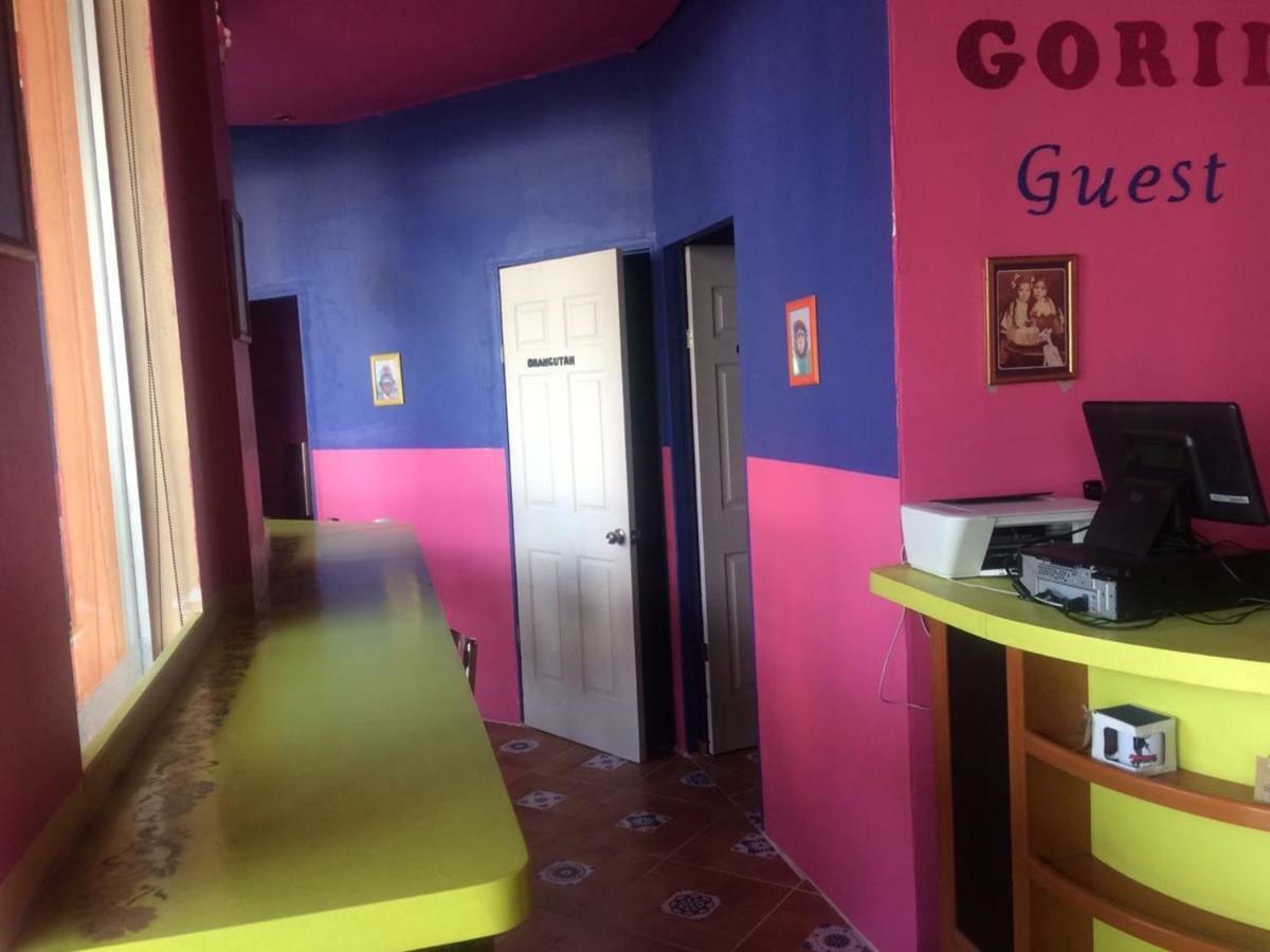 Gorilla´s Guest House Puebla Extérieur photo